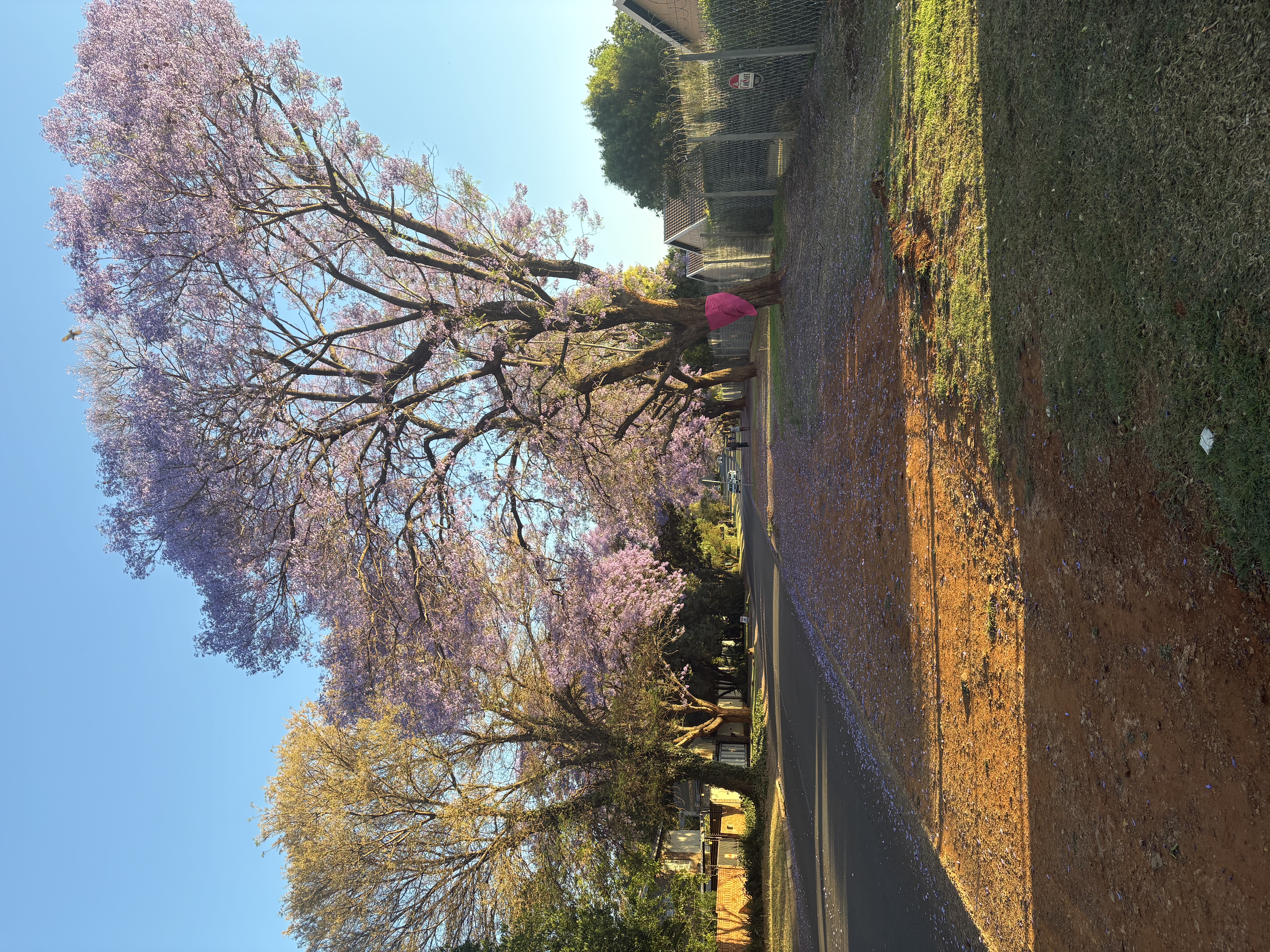 Win a home in Pretoria East promotional image